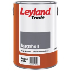 Eggshell Paint Colour: Brilliant White