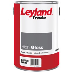 High Gloss Paint Colour: Brilliant White