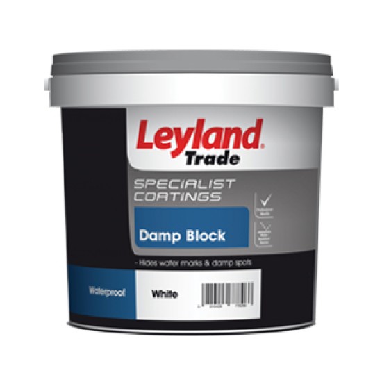 Damp Block Paint Colour: Brilliant White