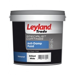 Anti-Damp Paint Colour: Brilliant White