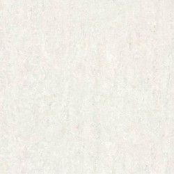 Cosmos White Matt 60cm x 60cm Wall And Floor Tile