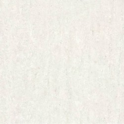 Cosmos White Polished 60cm x 60cm Wall And Floor Tile